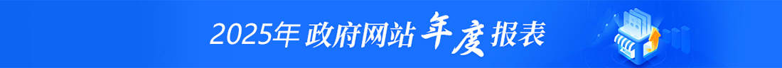 2025年政府网站工作年度报表